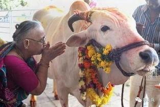 国产牛牛在线,创新游戏体验，引领休闲娱乐新潮流  第3张